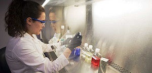 Brittany White making molecules in the lab Brittany White making molecules in the lab