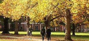 People walking through campus in the fall People walking through campus in the fall