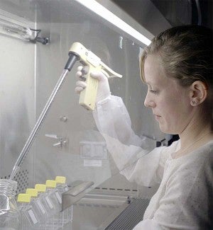 Jennifer Hampton Hill working in a lab Jennifer Hampton Hill working in a lab