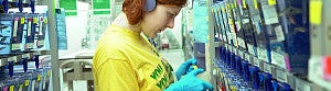 Woman working in the zebrafish lab