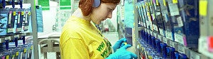Woman working in the zebrafish lab Woman working in the zebrafish lab