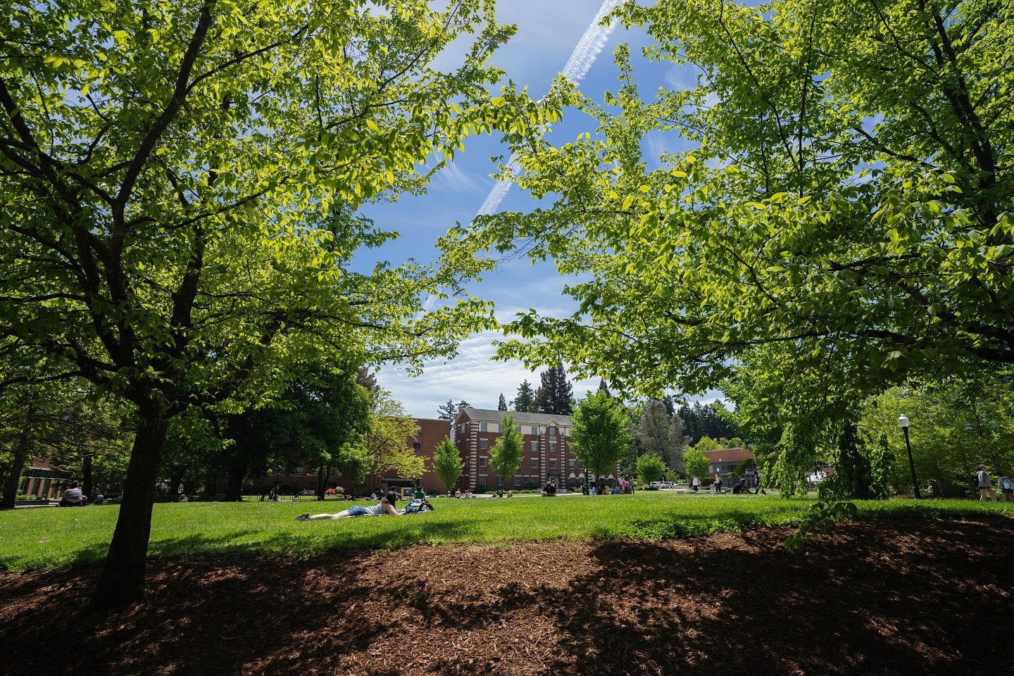 UO Campus, showcasing green trees, a blue sky, and a brick building.