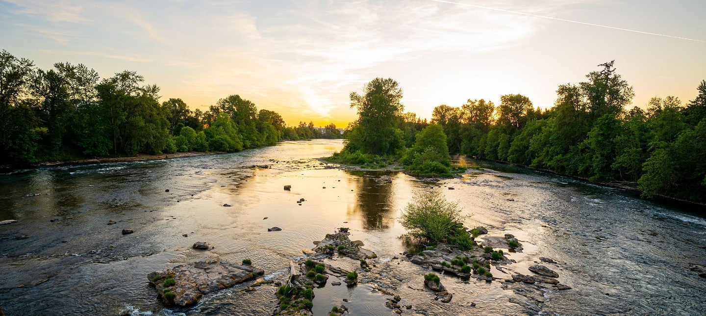 The Willamette River.