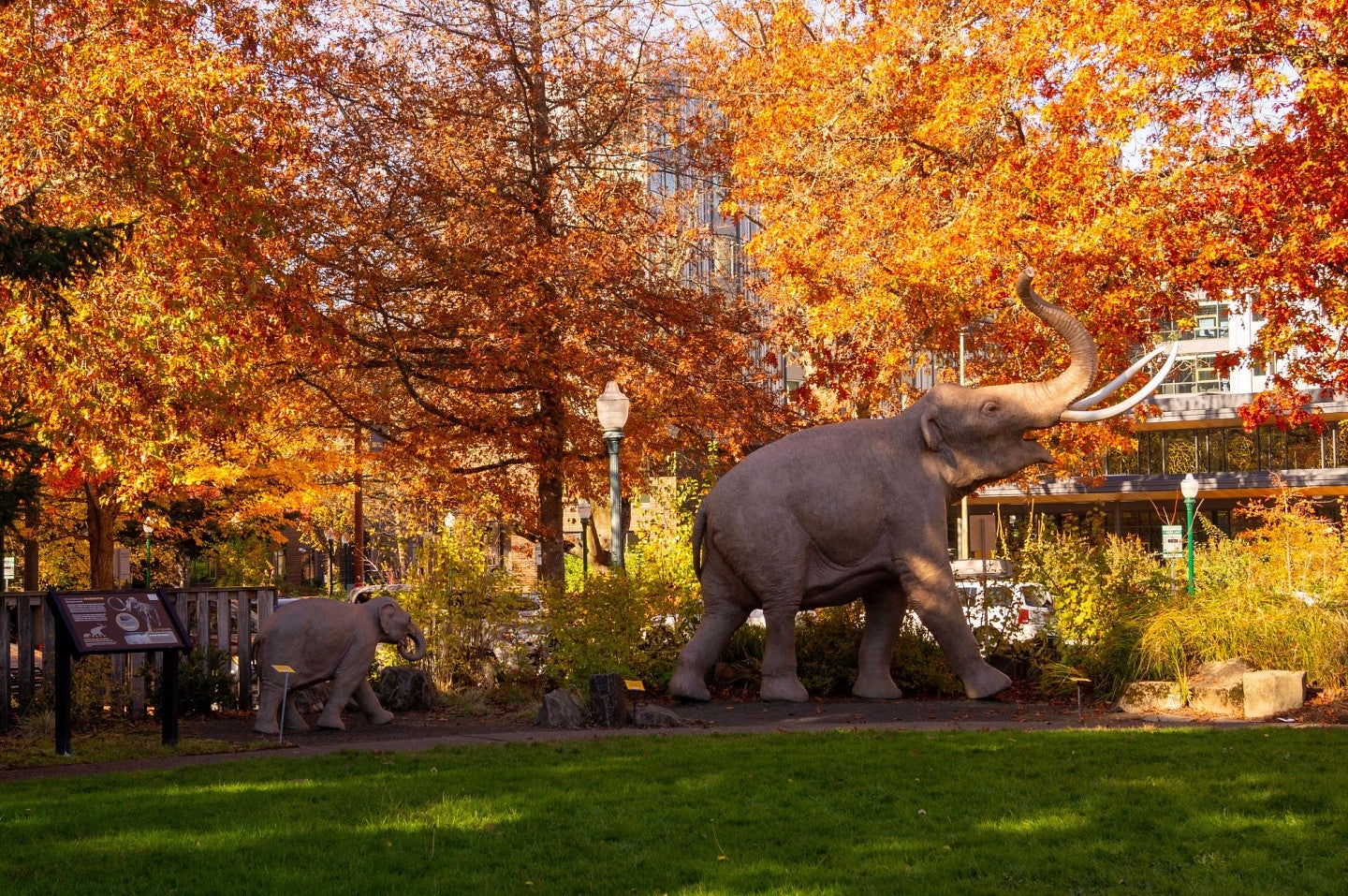 life size model of a family of mammoth