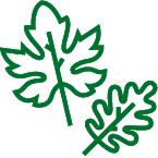 icon of two leaves