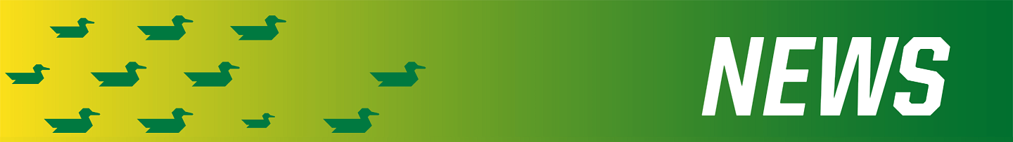 banner for newspage