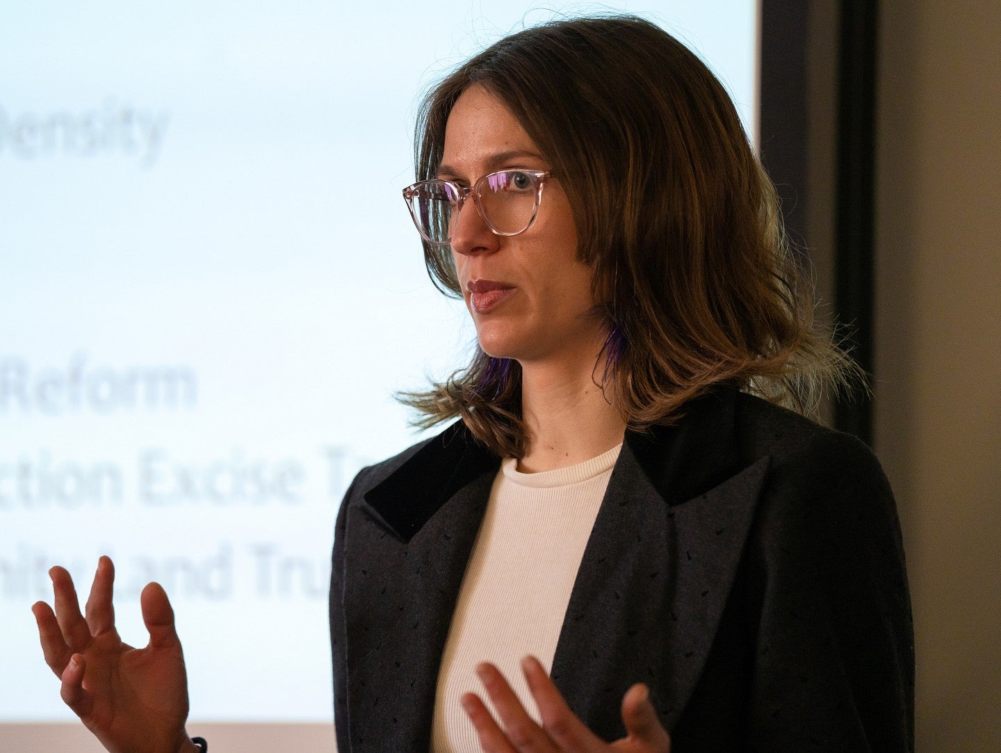 Graduate student with short brown hair and glasses giving a presentation.