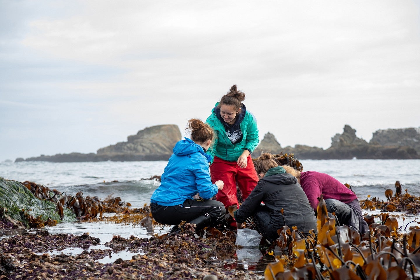 Students collect samples at the Oregon Institute of Marine Biology.