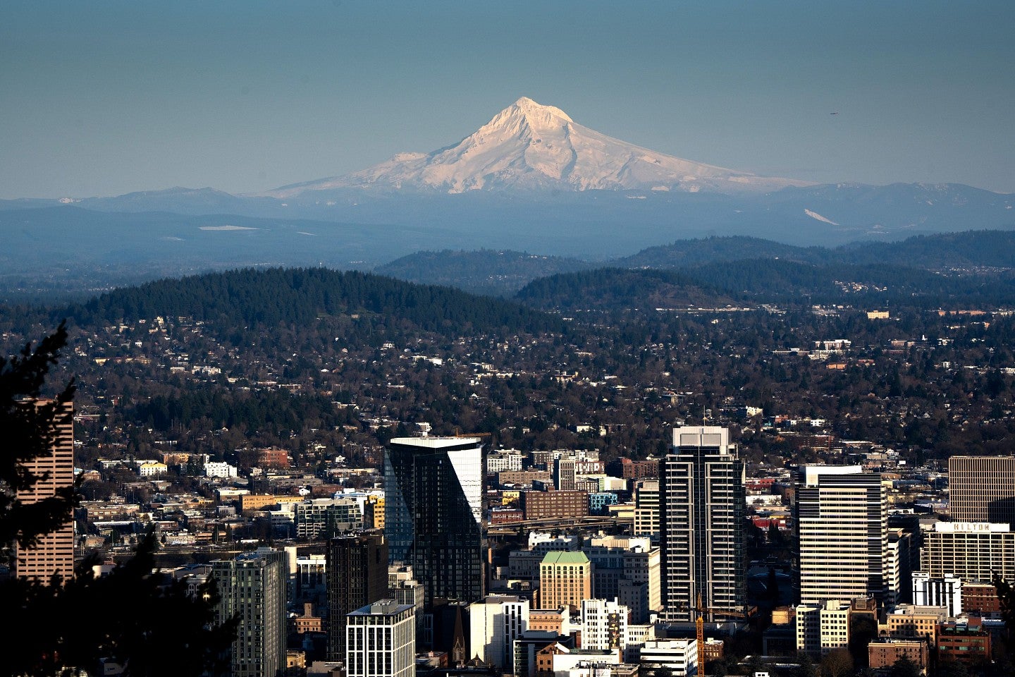 aerial view of portland, oregon