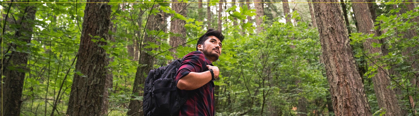 Student walking through a forest of tall trees.