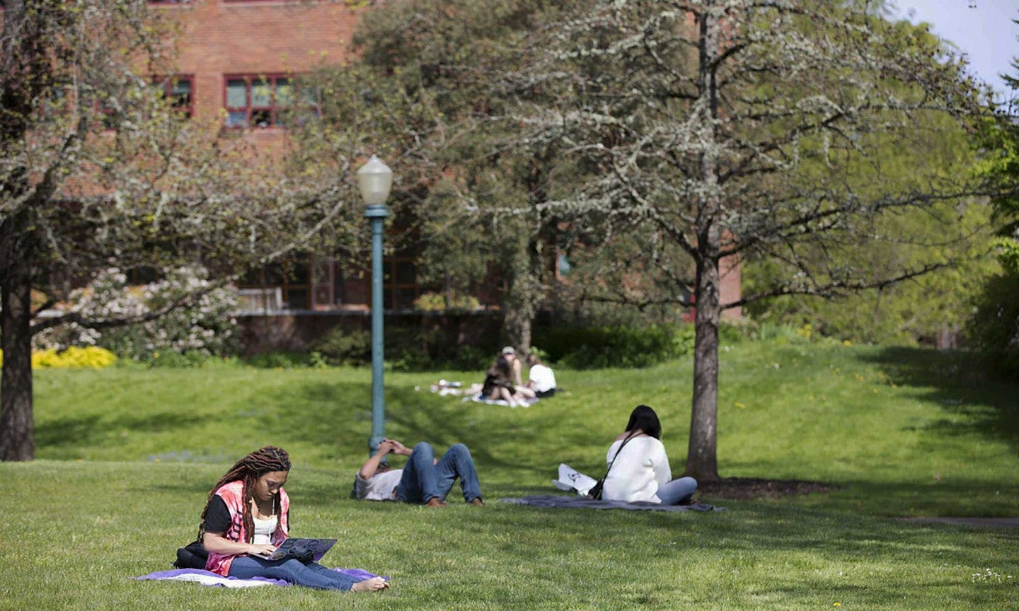 People sitting in the grass on campus People sitting in the grass on campus
