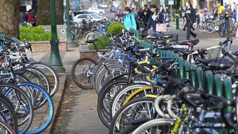 Bicycles parked along 13th Avenue