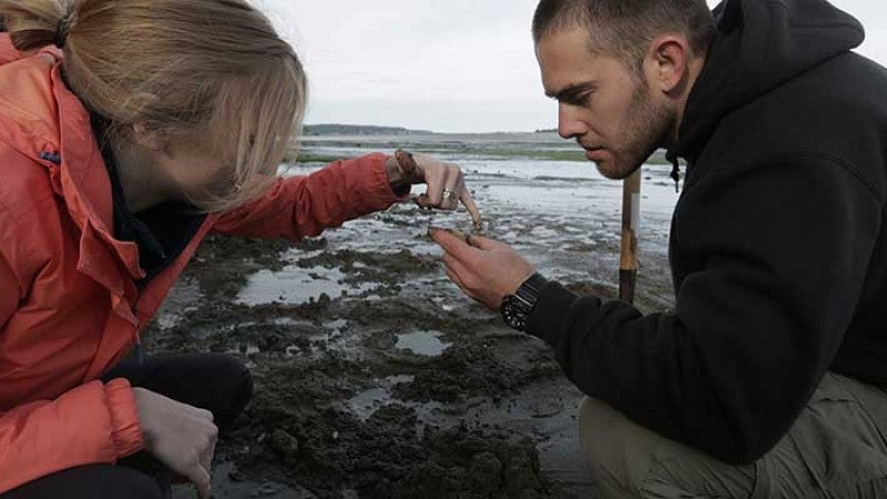 Student looking at a sample along the beach near the Oregon Institute of Marine Biology