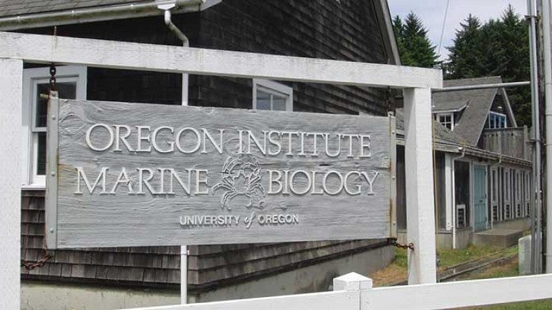 Oregon Institute of Marine Biology sign in front of the facility Oregon Institute of Marine Biology sign in front of the facility