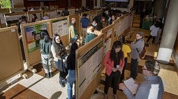 grad forum