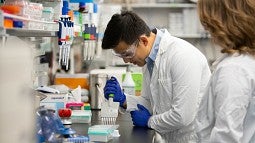 Students working in a lab