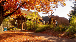 Museum of Natural and Cultural History entrance