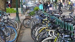 Bicycles parked along 13th Avenue Bicycles parked along 13th Avenue