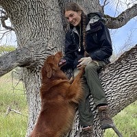 Person sitting on a tree limb smiling at a dog.