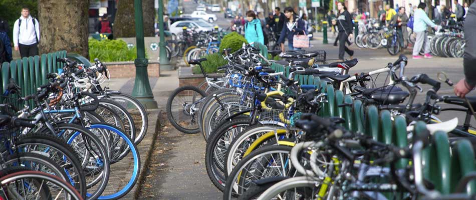 Bicycles parked along 13th Avenue