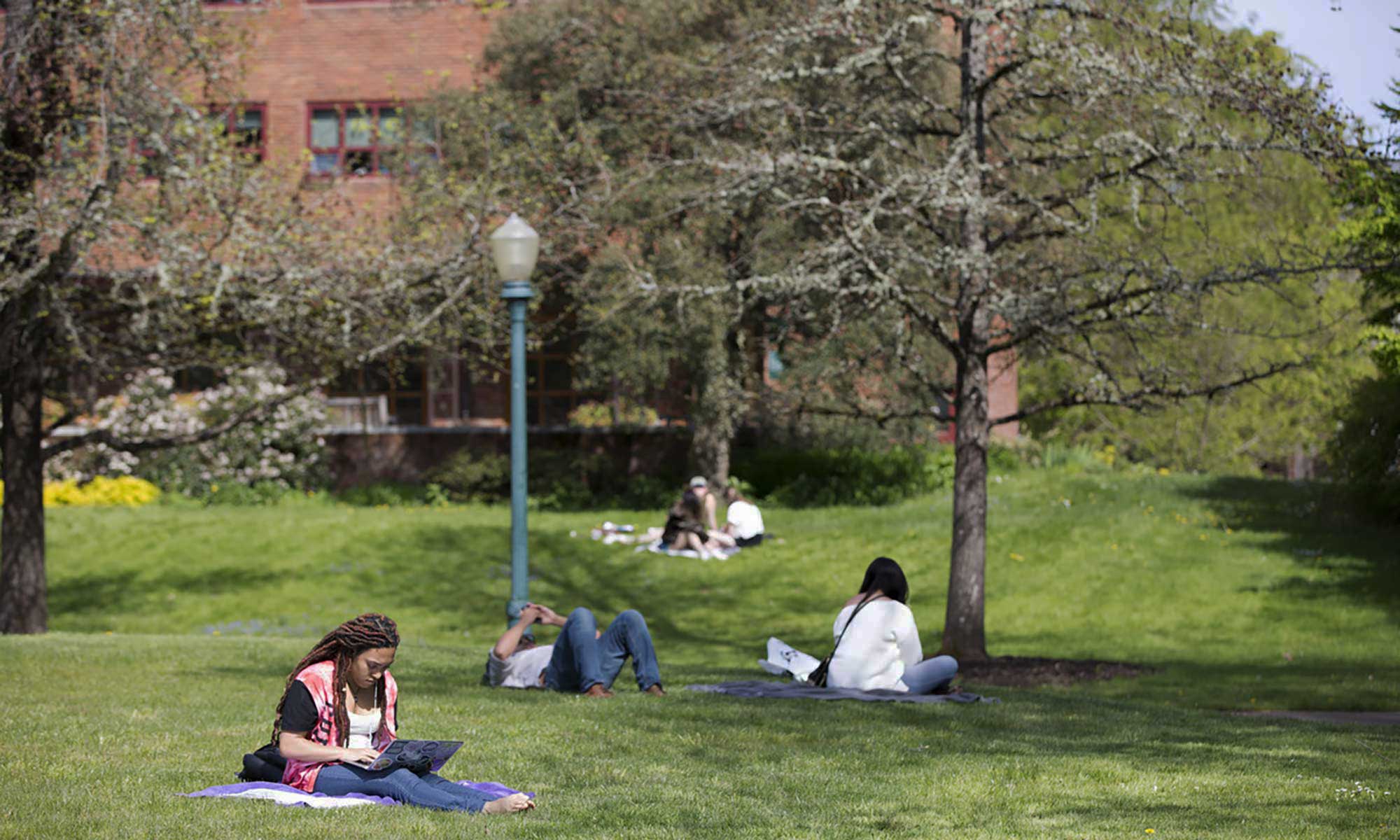 People sitting in the grass on campus