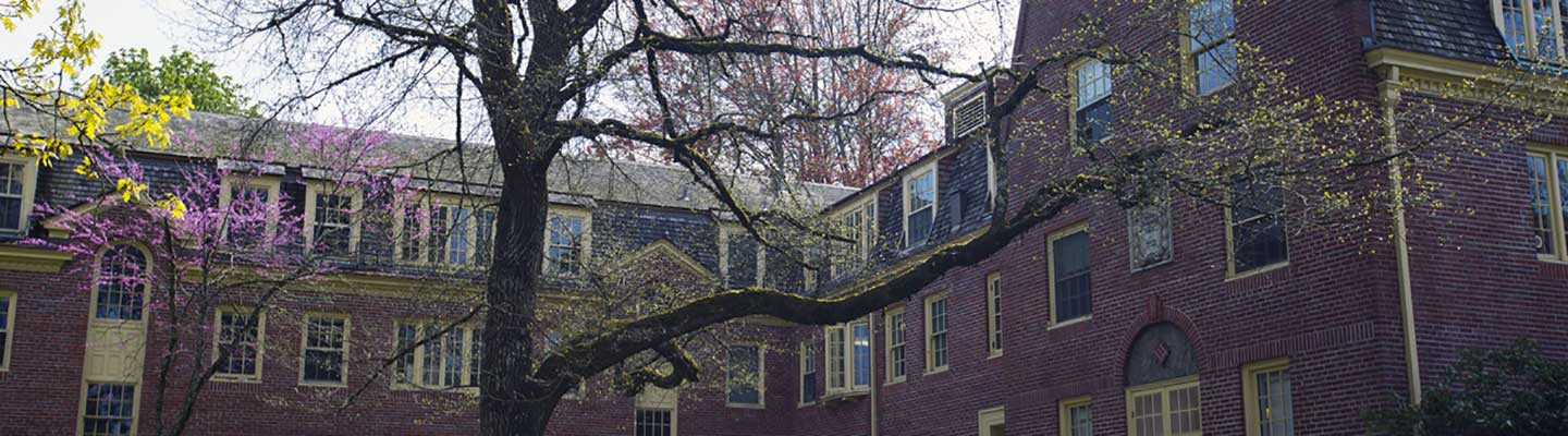 Susan Cambpell Hall